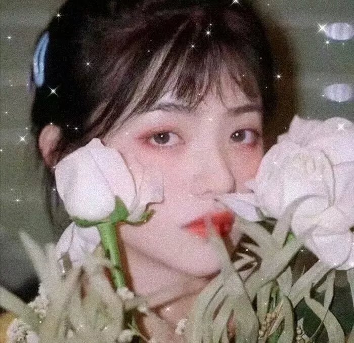 下流人生海报